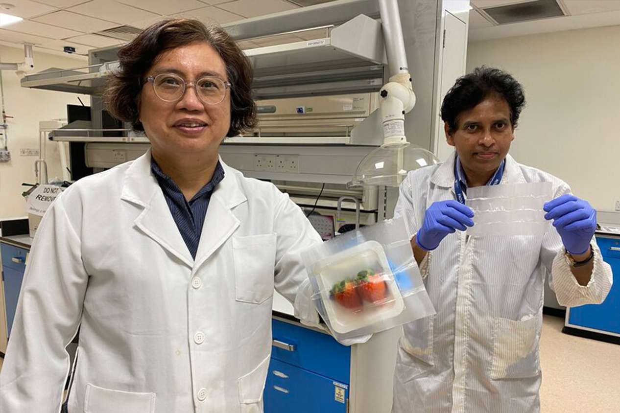 You are currently viewing Scientists develops biodegradable packaging that keeps food fresh