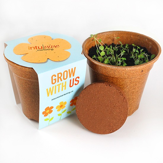 Sprouter Growth Kit