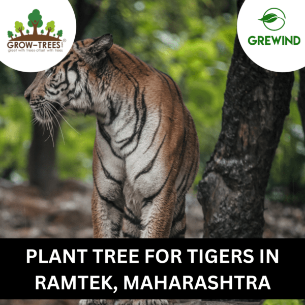 Adapt Forestation Project for Tigers - Ramtek