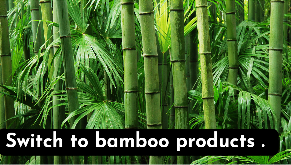 Bamboo products help SDG goals