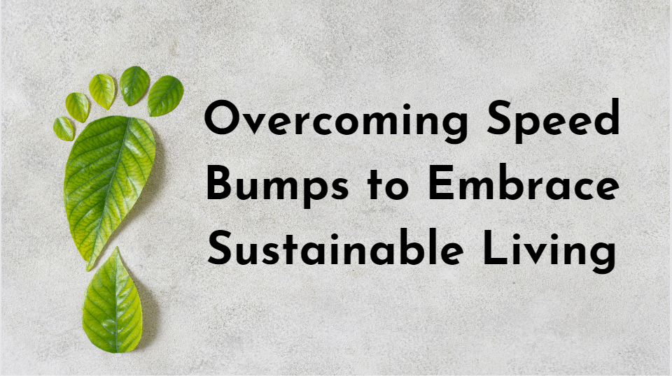 Overcoming speed bumps to Embrace Sustainable Living