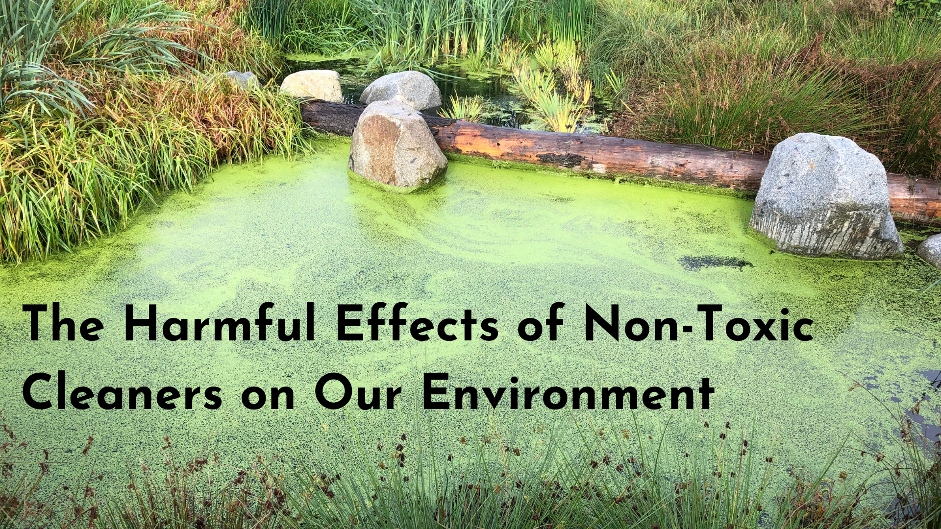 Non Toxic Cleaners Impact
